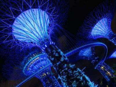 Supertrees im Gardens by the Bay