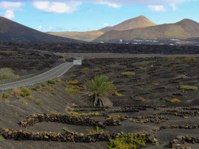 La Geria Weinanbaugebiet auf Lanzarote 