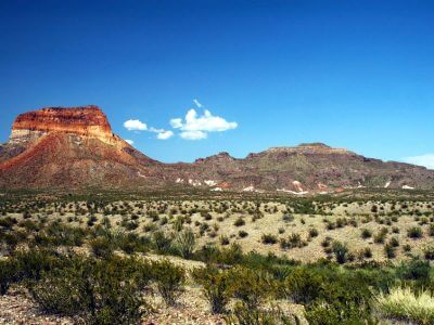 Big Bend National Park 